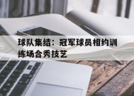金年会团队-关于球队集结：冠军球员相约训练场合秀技艺的信息