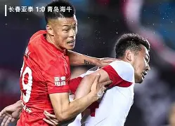 申花遗憾负于对手无缘下一轮晋级的简单介绍