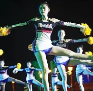 阿拉维斯主力阵容